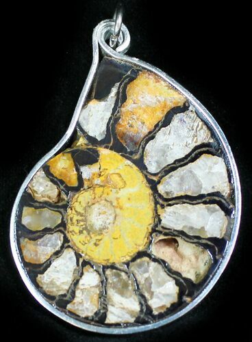 Moroccan Ammonite Fossil Pendant #27401
